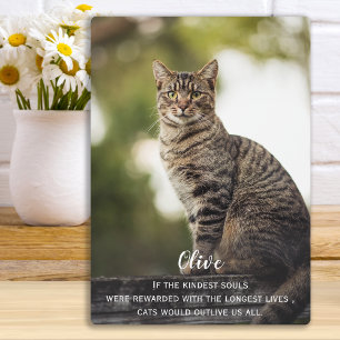 Herdenkingsgeschenk Kat - Aandenken aan huisdierve Fotoplaat