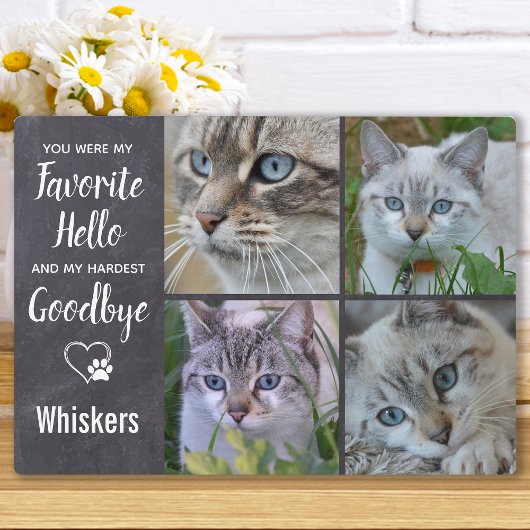 Herdenkingsgeschenk Kat Sympathie Foto Huisdier Ve Fotoplaat