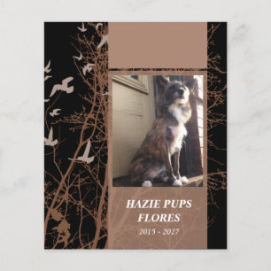 herdenkingskaarten, silhouscrevogels