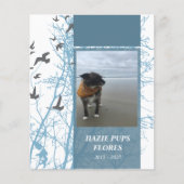 herdenkingskaarten, silhouscrevogels (Voorkant)