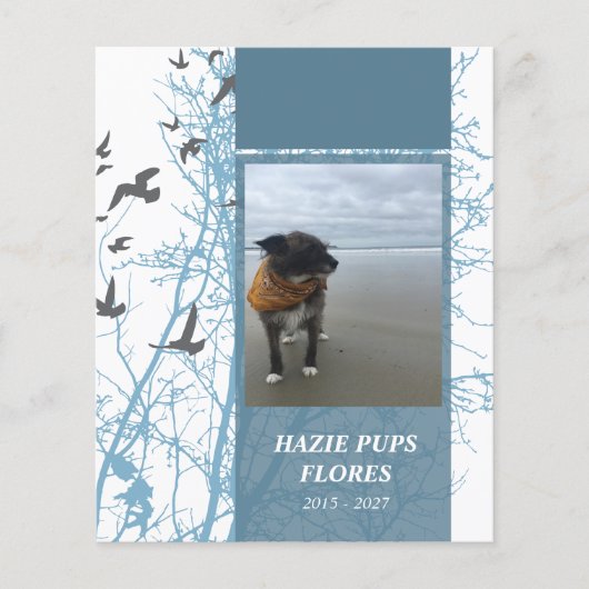 herdenkingskaarten, silhouscrevogels (Voorkant)