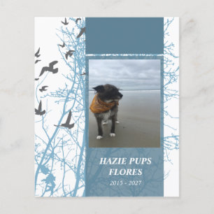 herdenkingskaarten, silhouscrevogels