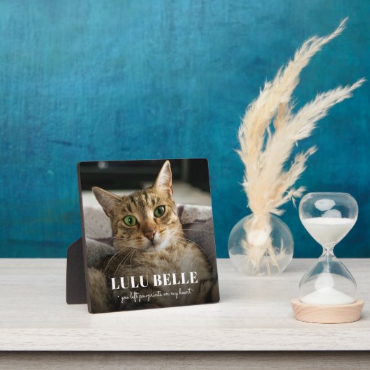 Herdenkingskat Foto Pootafdrukken Op Mijn Hart Fotoplaat (Insitu)