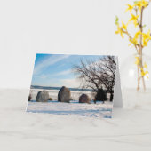 Herdenkingsmonument Dan Fogelberg in Winter Card Kaart (Gele Bloem)