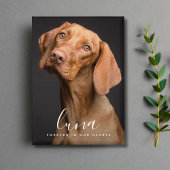 Herdenkingsmonument Pet Photo Button