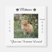 Herdenkingsmonument voor de kat magneet (Voorkant)