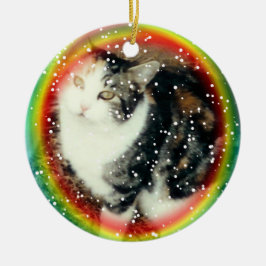 Herdenkingsornament van de regenboogbrug keramisch ornament