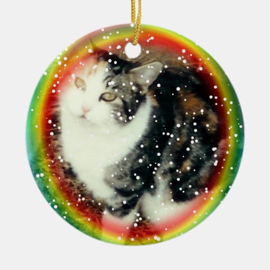 Herdenkingsornament van de regenboogbrug keramisch ornament (Voorkant)