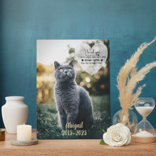Herdenkingsplaquette voor katten - troost bij het  fotoplaat