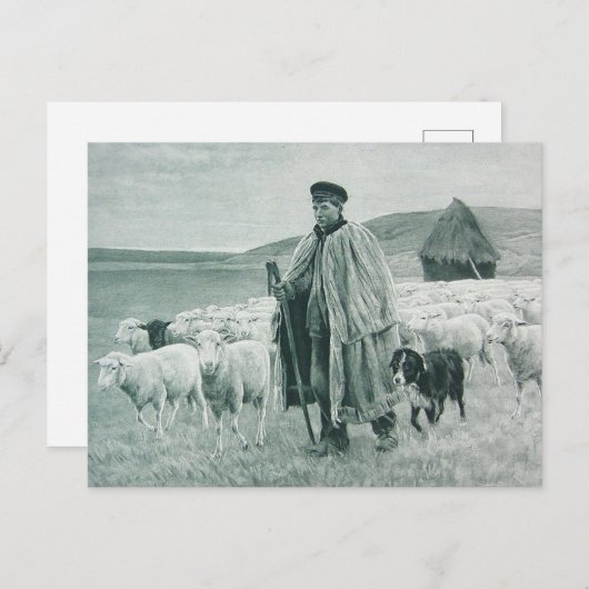  herder- en schapenhond met schapen feestdagenkaart (Voorkant / Achterkant)