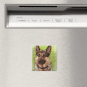 Herder Hond Vierkante Magneet (Insitu (Vaatwasser))
