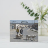 Herders en hun kudde in Dekemhare Eritrea Briefkaart (Staand voorkant)