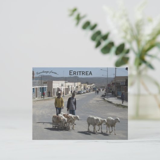 Herders en hun kudde in Dekemhare Eritrea Briefkaart (Staand voorkant)