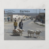Herders en hun kudde in Dekemhare Eritrea Briefkaart (Voorkant)