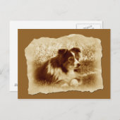 Herdershond  Sepia Tones Briefkaart (Voorkant / Achterkant)