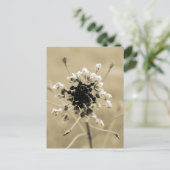 Herderstasje in Sepia Briefkaart (Staand voorkant)