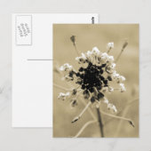 Herderstasje in Sepia Briefkaart (Voorkant / Achterkant)
