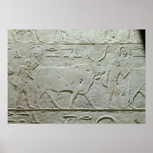 Herdsman leidt een stier poster (Voorkant)