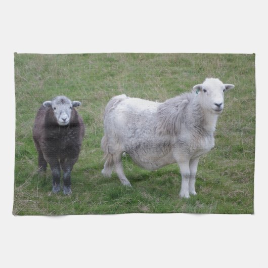 Herdwick Ewe en Lamb Tea Towel Theedoek (Horizontaal)
