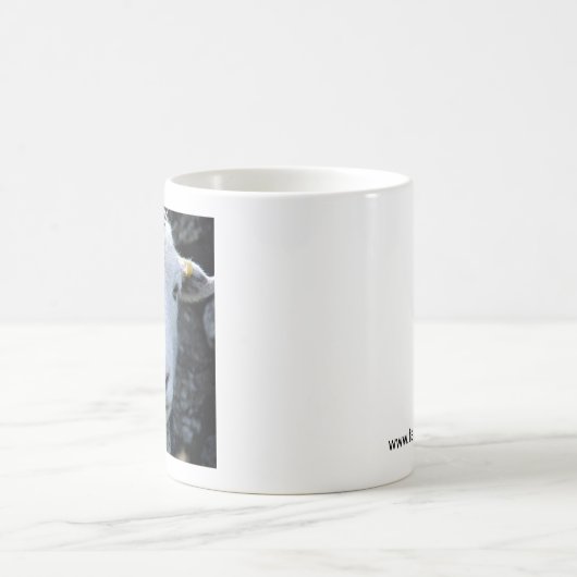 Herdwick ewe mok (Center)