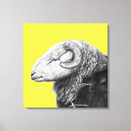 Herdwick Ram in Duffel Coat (Retro Geel) Canvas Afdruk (Voorkant)