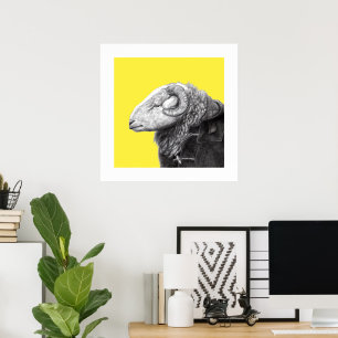Herdwick Ram in Duffel Coat (Retro Geel) Poster