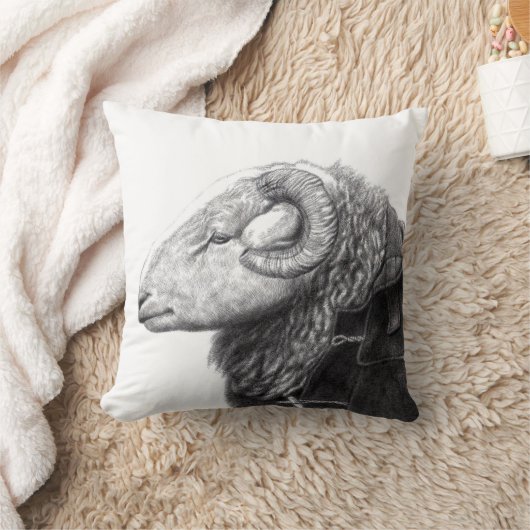 Herdwick Ram in Duffel Coat (Sneeuw) Kussen (Deken)
