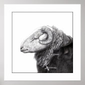 Herdwick Ram in Duffel Coat (Sneeuw) Poster (Voorkant)