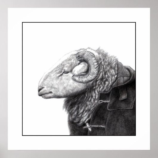Herdwick Ram in Duffel Coat (Sneeuw) Poster (Voorkant)