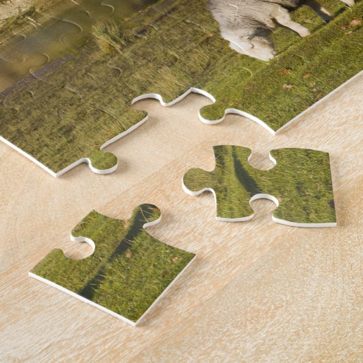 Herdwick schaap bij Friars Crag, Derwentwater, 2 Legpuzzel (Zijkant)