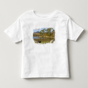 Herdwick schapen bij Friars Crag, Derwentwater, 2 Kinder Shirts