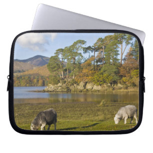 Herdwick schapen bij Friars Crag, Derwentwater, 2 Laptop Sleeve