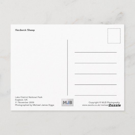 Herdwick Sheep Briefkaart (Achterkant)