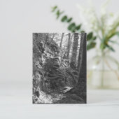 Herdwick Sheep, Cumbria Briefkaart (Staand voorkant)