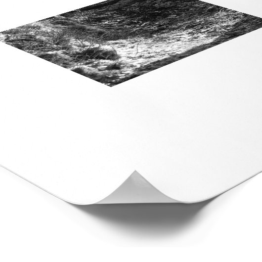 Herdwick Sheep, Cumbria Poster (Hoek)