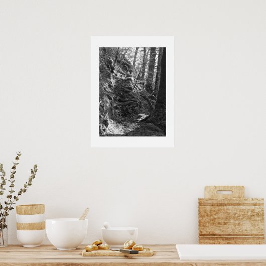 Herdwick Sheep, Cumbria Poster (Keuken)