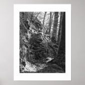 Herdwick Sheep, Cumbria Poster (Voorkant)