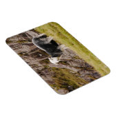 Herdwick Sheep Magnet Magneet (Rechterzijde)