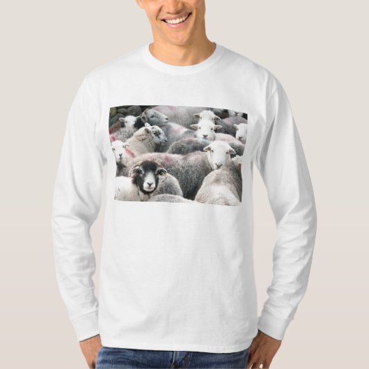 Herdwick Sheep T-shirt (Voorkant)