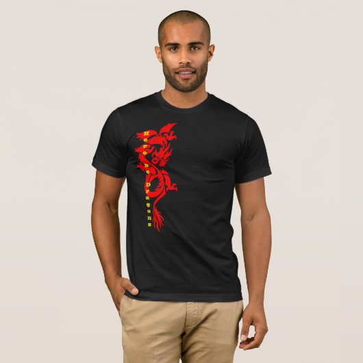 Here Be Dragons Shirt - Fierce Chinese Mythycal (Voorkant volledig)