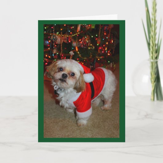 Here Comes Santa Paws! Kaart (Voorkant)