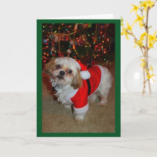 Here Comes Santa Paws! Kaart (Gele Bloem)