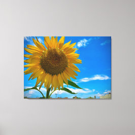 Here comes the sun canvas afdruk