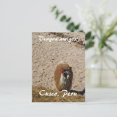 Here llama llama briefkaart (Staand voorkant)