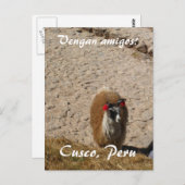 Here llama llama briefkaart (Voorkant / Achterkant)