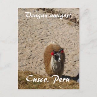 Here llama llama briefkaart