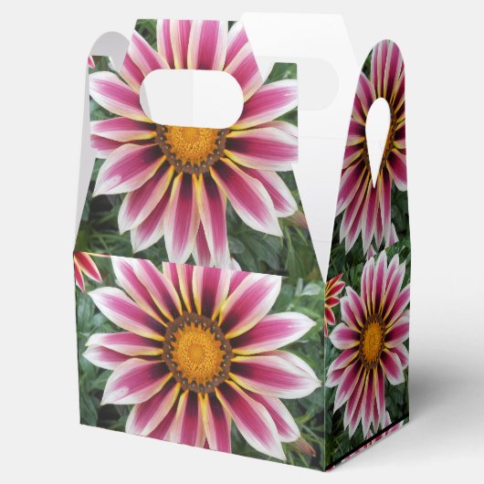 Hereford Bedankdoosjes (Geopend)