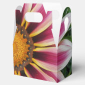 Hereford Bedankdoosjes (Geopend)