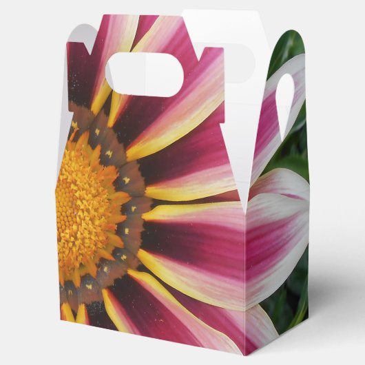 Hereford Bedankdoosjes (Geopend)