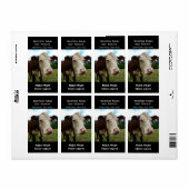 Hereford Beef Koe Zuivel Product Label Sticker (Full Sheet)